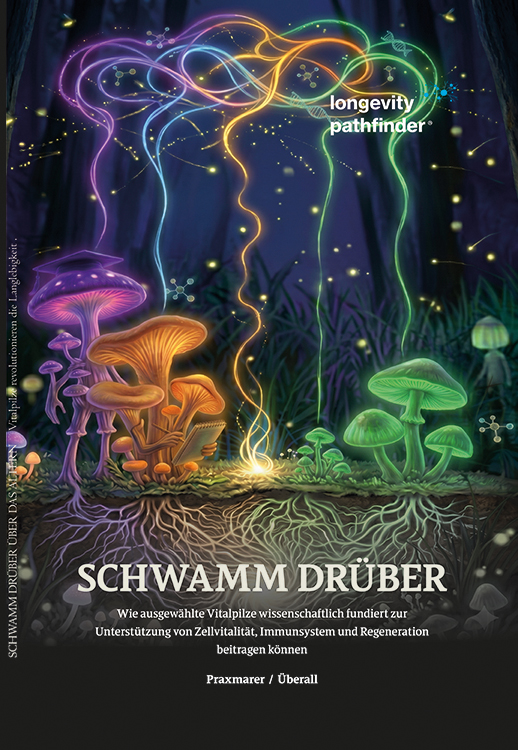 Cover Schwamm drüber